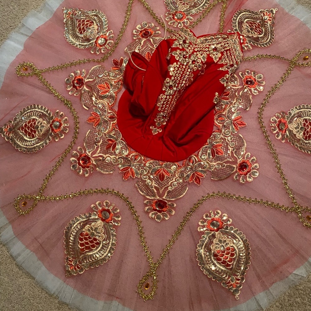 Professional 40 in platter tutu, never worn was for YAGP